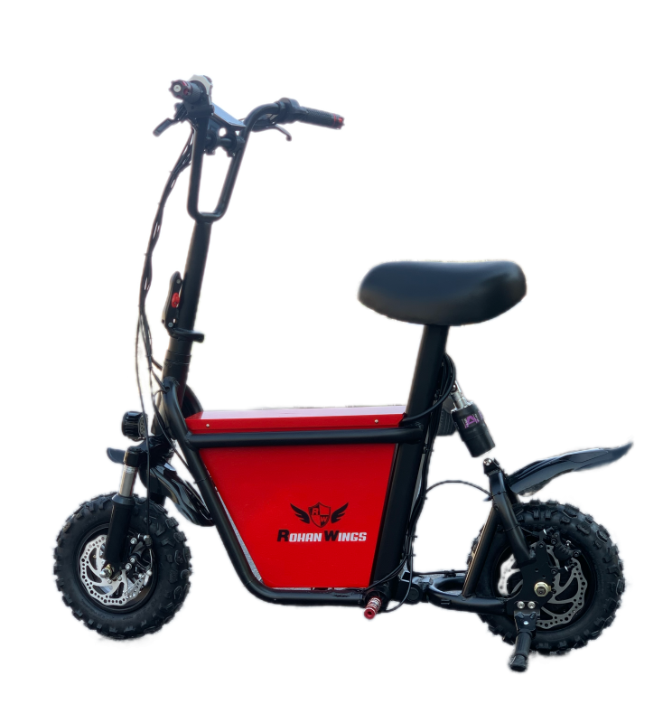 E Bikes RW QS Pro 2022 1500w 95km